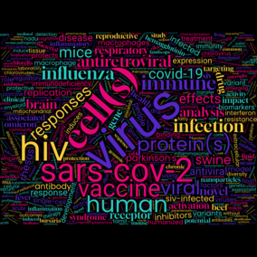 a word cloud in multiple colors. the largest words are: cell(s), virus, HIV, Sars-cov2, vaccine, and human