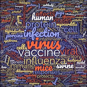 A wordcloud image made from the publication titles. On a black background the largest words that stand out in red are: virus, viruses, effects, mice, and viral; in blue: protein, infection, responses, cell, cattle, porcine, and pigs; and in white: human, vaccine, swine, genetic, and identification. 