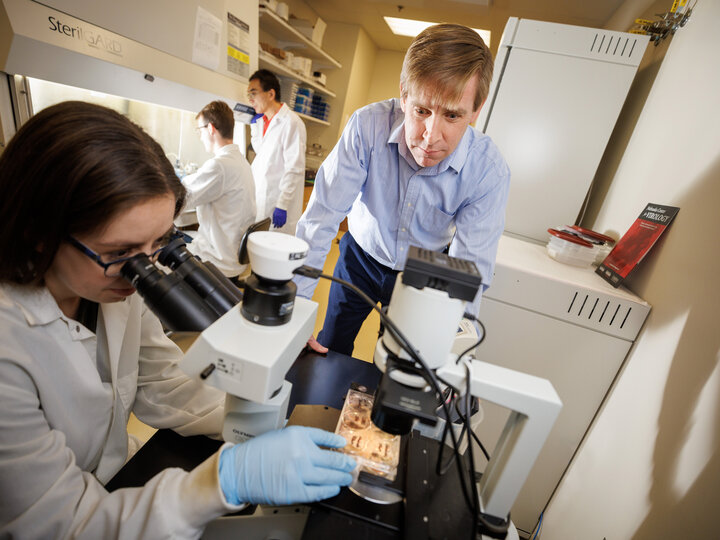 A woman with long dark hair and glasses wearing a lab coat and blue gloves is looking through a microscope at a plate of cells. Looking on is a man in a blue shirt and pants. In the background a person in a lab coat is working in a biosafety cabinet while another person in lab coat and bright blue gloves looks over their shoulder.