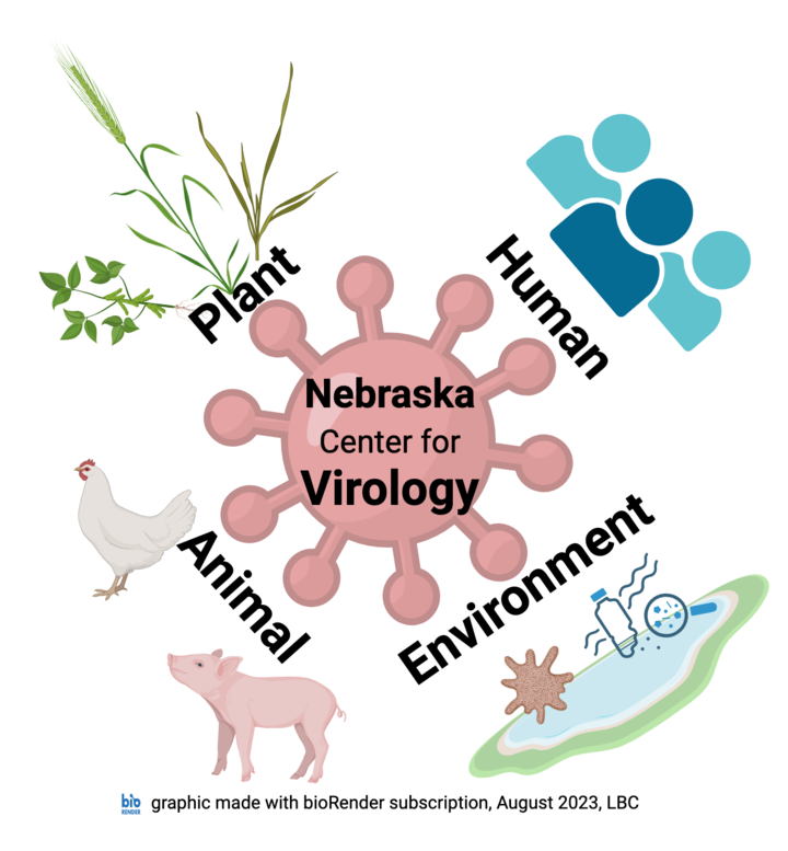 graphic showing a artistic representation of a virus in red surrounded by images (clockwise) for human, environment, animal, and plant with respective pictures of people, a pond with a virus and magnifying glass, a chicken and pig, and drawings of three different plants